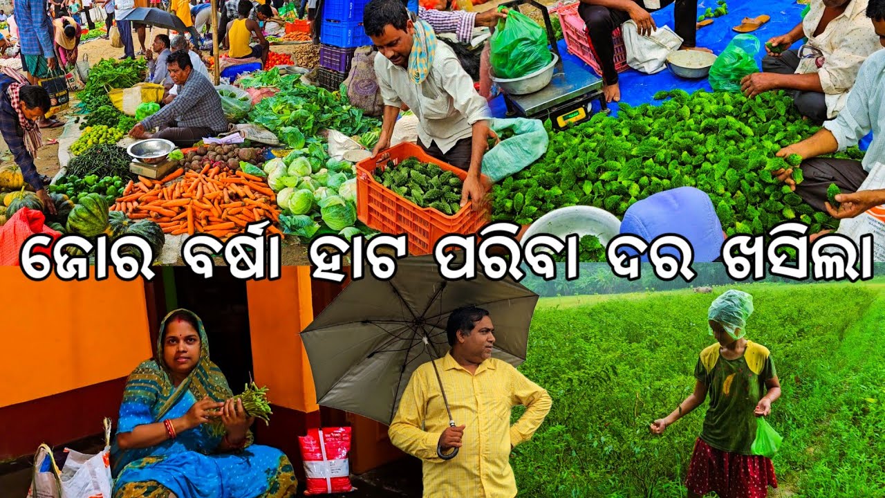 ଜୋର ବର୍ଷା ଗାଁ ହାଟ ପରିବା ଦର ହଠାତ୍ ଖସିଲା l @Gouranganayakodiavlogs