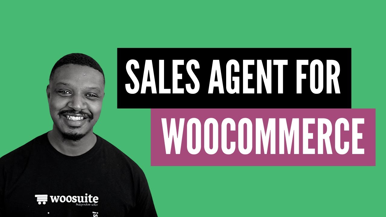 Sales Agent for WooCommerce (Setup & Walkthrough)