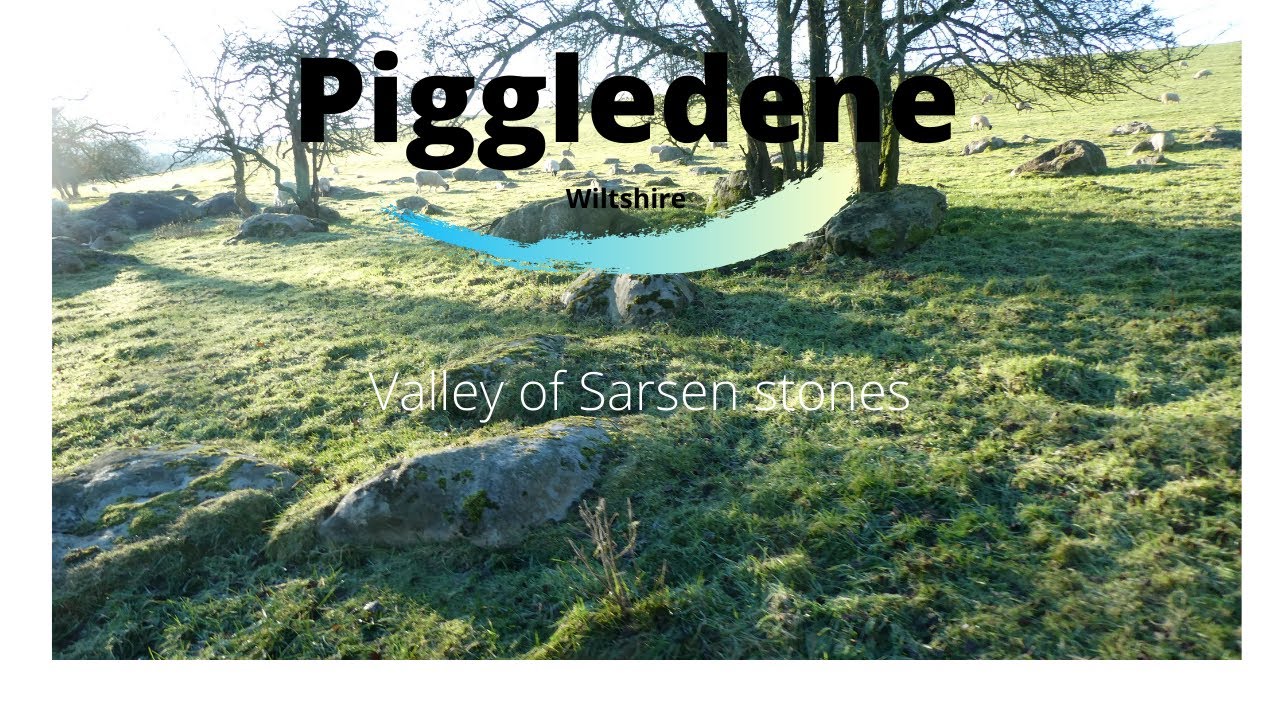 Piggledene, Wiltshire. A valley of sarsen stones