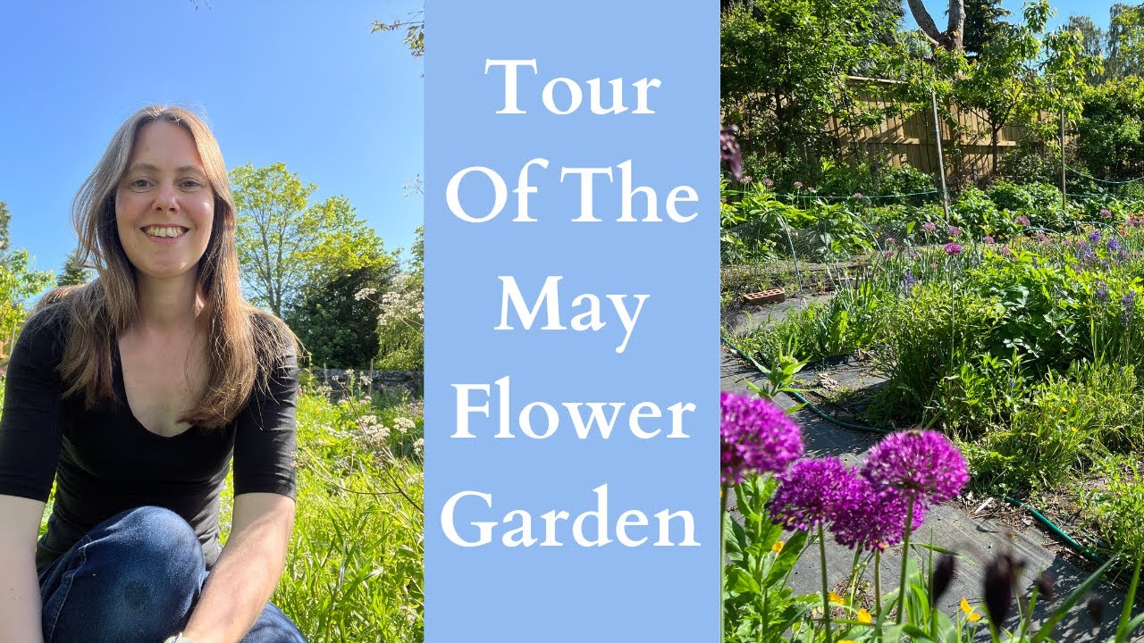 Tour Of The May Flower Garden