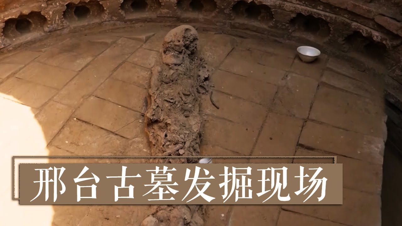 《2020考古进行时》第二季 邢台古墓发掘现场 消失的棺椁 | 中华国宝