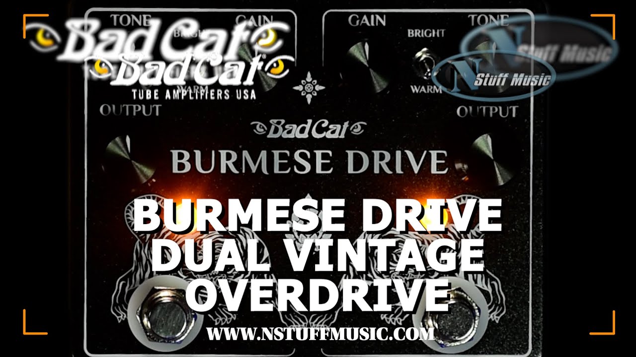 Bad Cat Burmese Drive Dual Vintage Overdrive