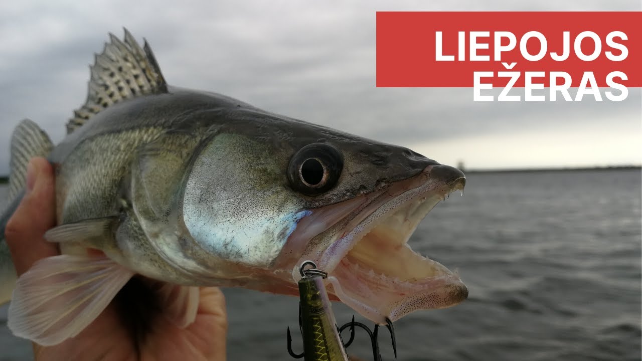 Žvejyba Liepojos ežere ir kanale. Informacija apie LEIDIMUS ir VIETAS / Fishing in Liepaja lake