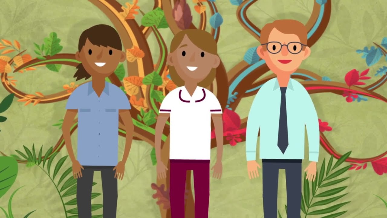 The Preceptorship Tree &ndash; an introduction to preceptorship
