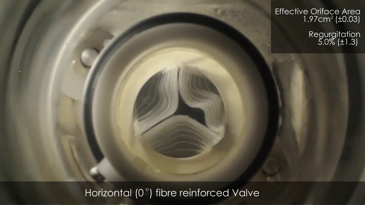 3D Printing Silicone Heart Valves (Video 3 - Testing)