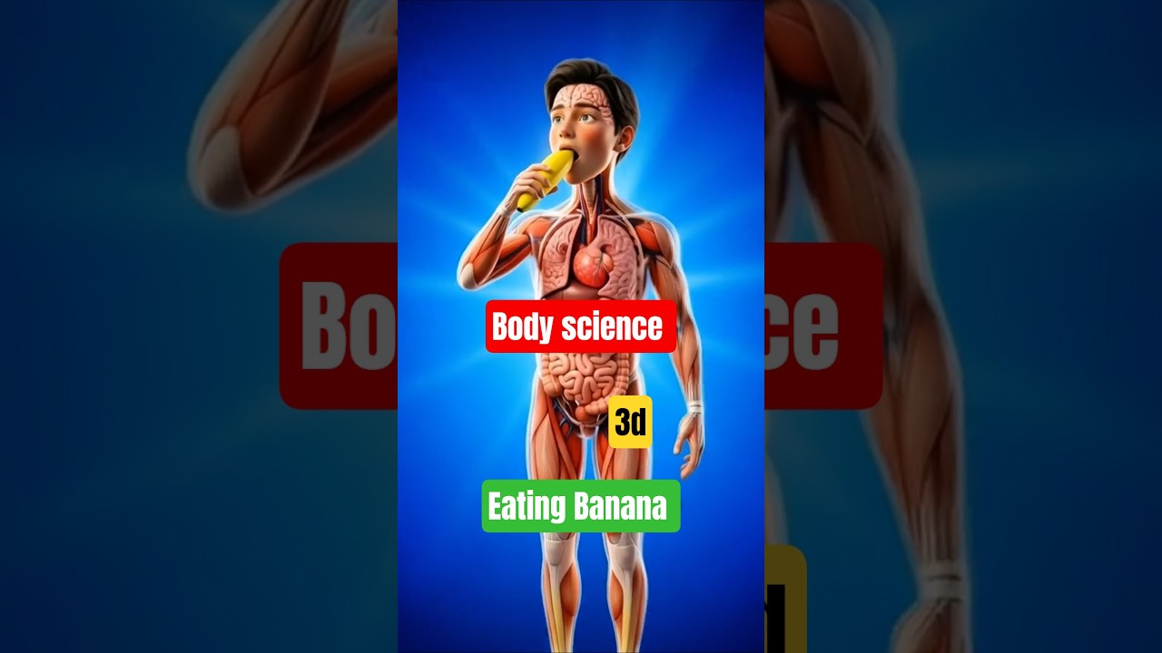 What Happens When You Eat a Banana? 🍌 (Inside Your Body)