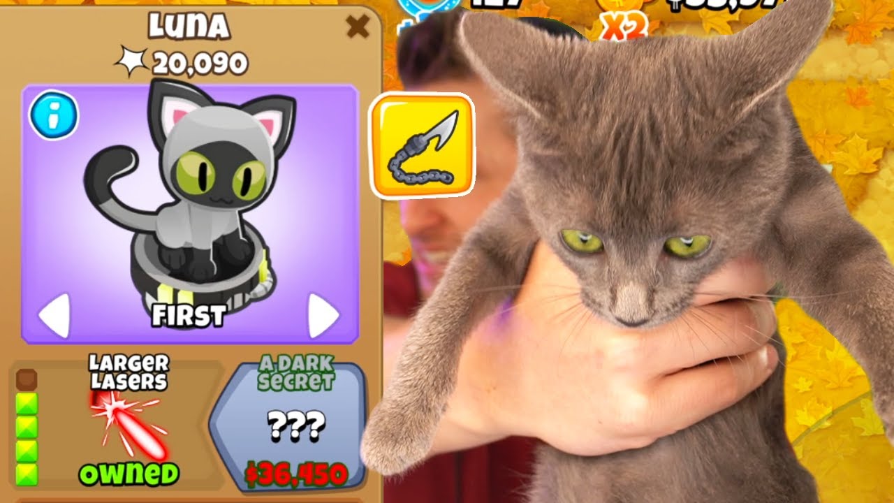 Я добавил своего КОТА в Bloons TD 6!