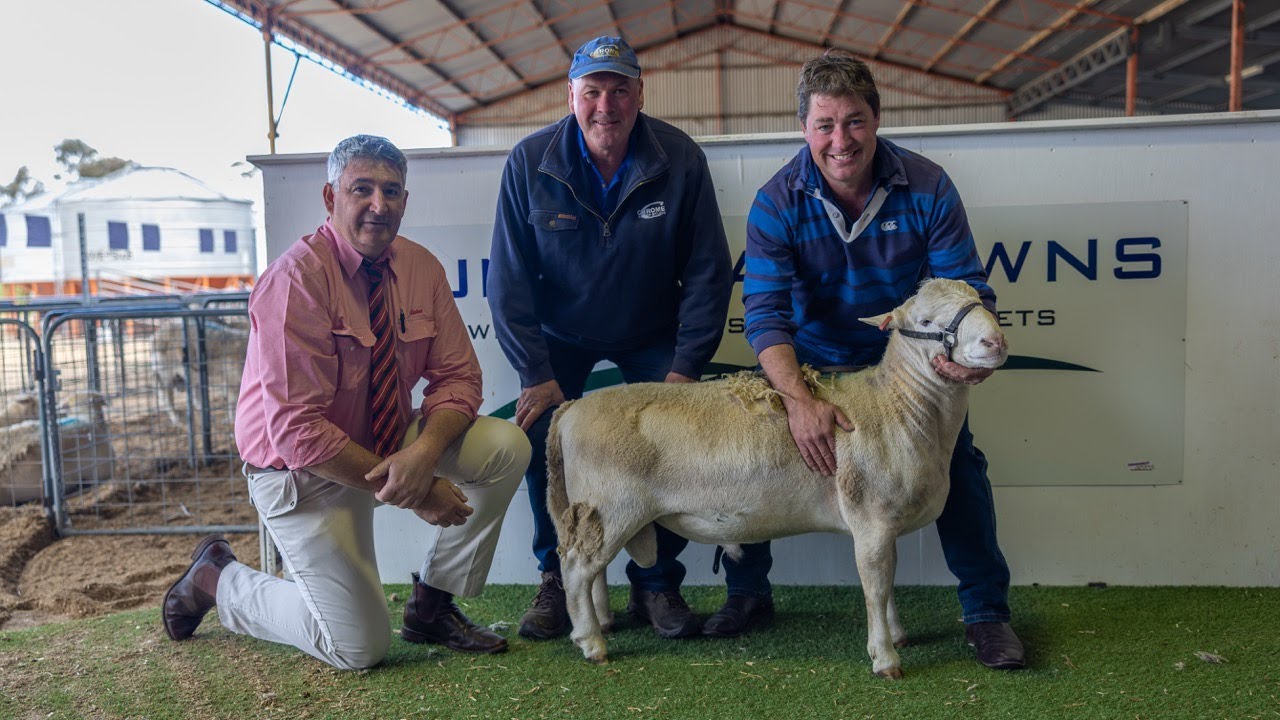 Bundara Downs Ultra White 2025 Sale