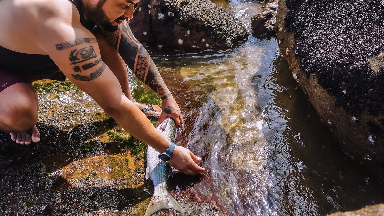 PESCANDO, LIMPANDO E PREPARANDO - Grande Peixe Tainha