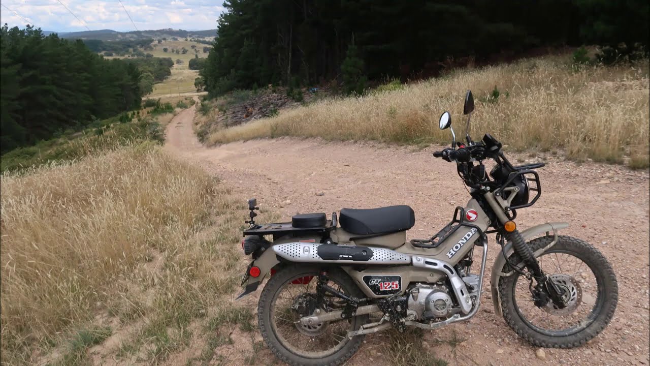 Honda CT125 Trail - Beware - This Bike Is A Hill Climbing BEAST!