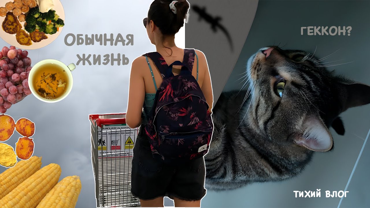 Медленная жизнь: рутина, готовка, минимализм, тихий влог #тихийвлог #медленнаяжизнь #минимализм
