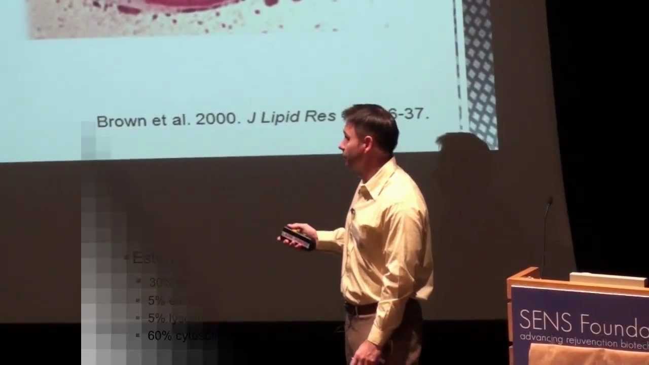 SENS5 - Lysosomal enhancement strategies for the treatment of oxysterol-induced cytotoxicity