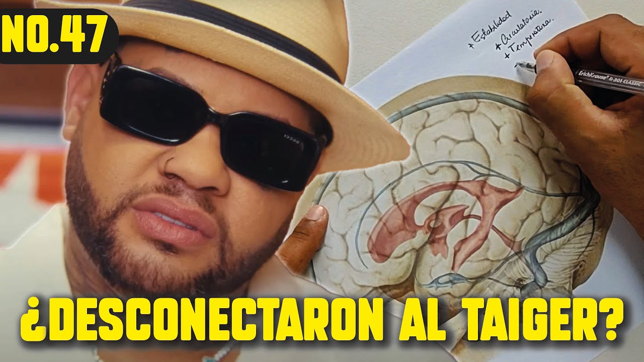¿Qué le pasó al TAIGER? ¿Lo desconectaron? NEUROCIRUJANO explica detalles de la muerte cerebral