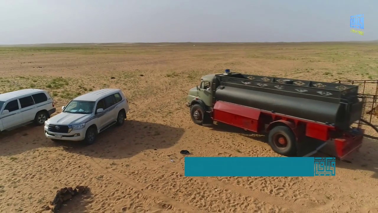 شيلة خالد عبدالرحمن شدو ويمتهم جنوب عن الديرة على مناظر من ربيع ضواحي جبوات مع ممشى عايدي يهيض