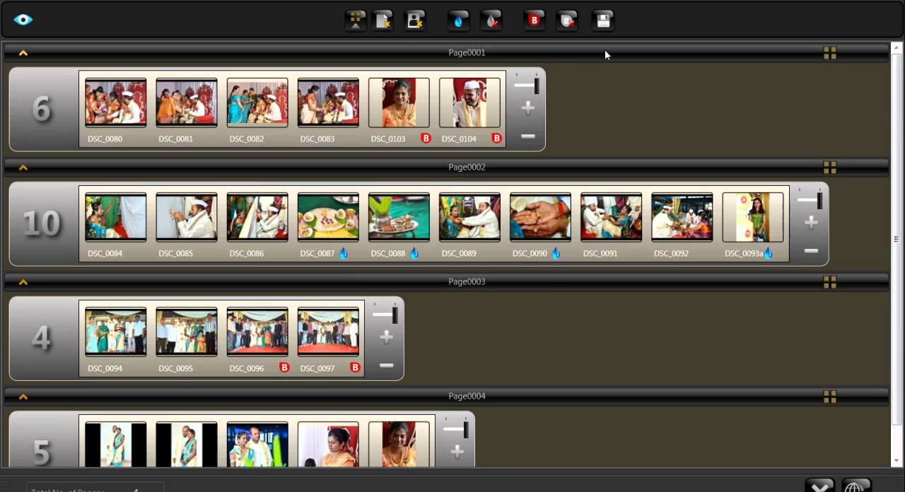 Albumizer 1.5 Pro Organizing Option