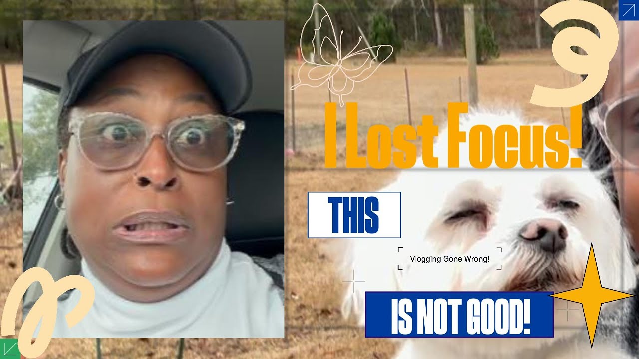 I Left My Car Running | Dog Grooming Vlog