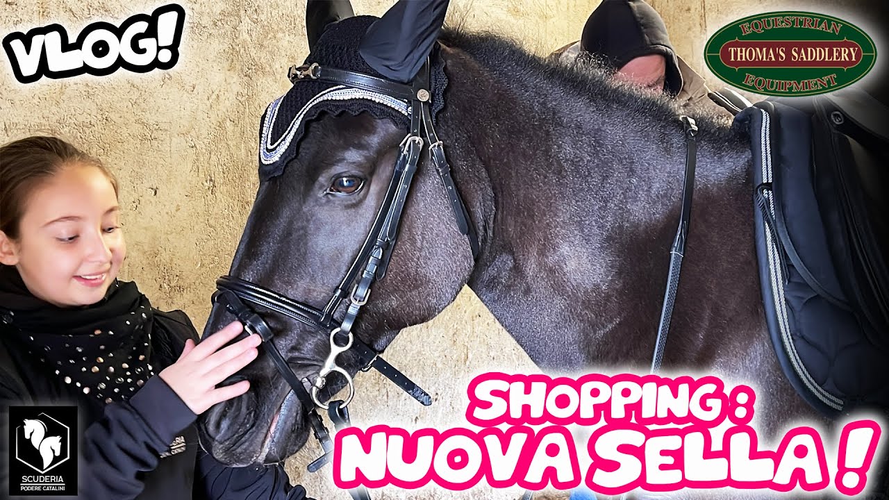 ⭐️ SHOPPING SFRENATO : nuova SELLA e tanto altro per Oscura! ⭐️⭐️⭐️
