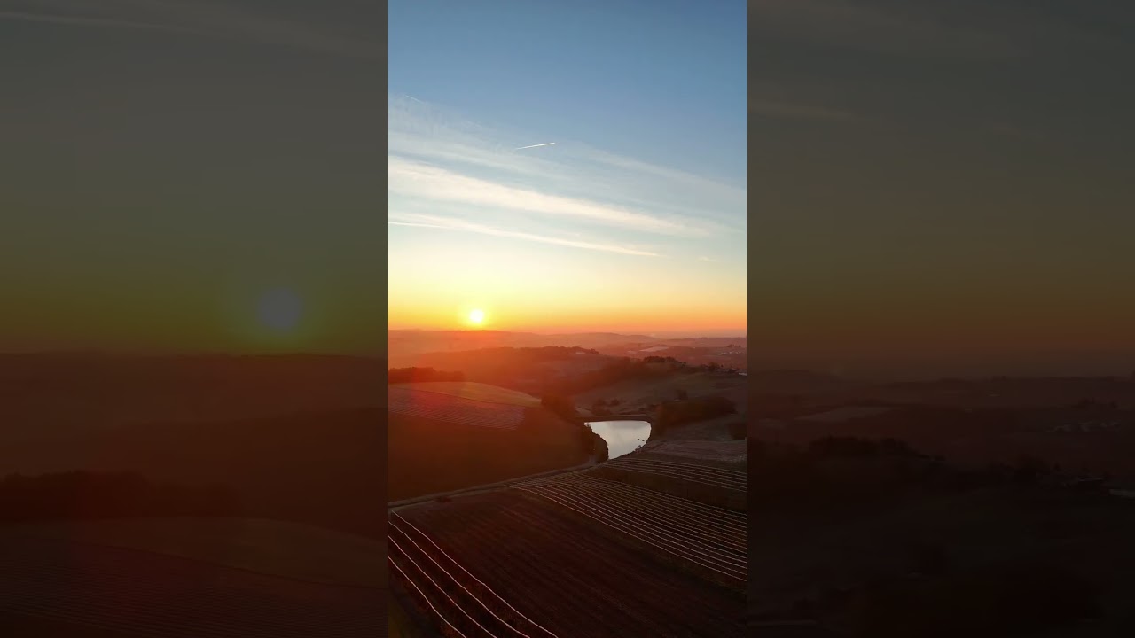 Soft Sunrise Over the Fields — 31 minutes of calm | Sohra