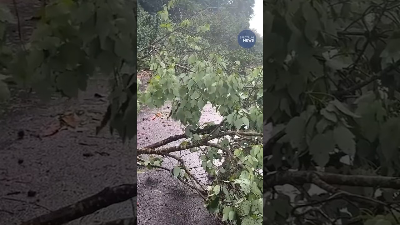 Tornadoes Tear Through Southeastern U.S. as Storms Leave 3 Dead 
