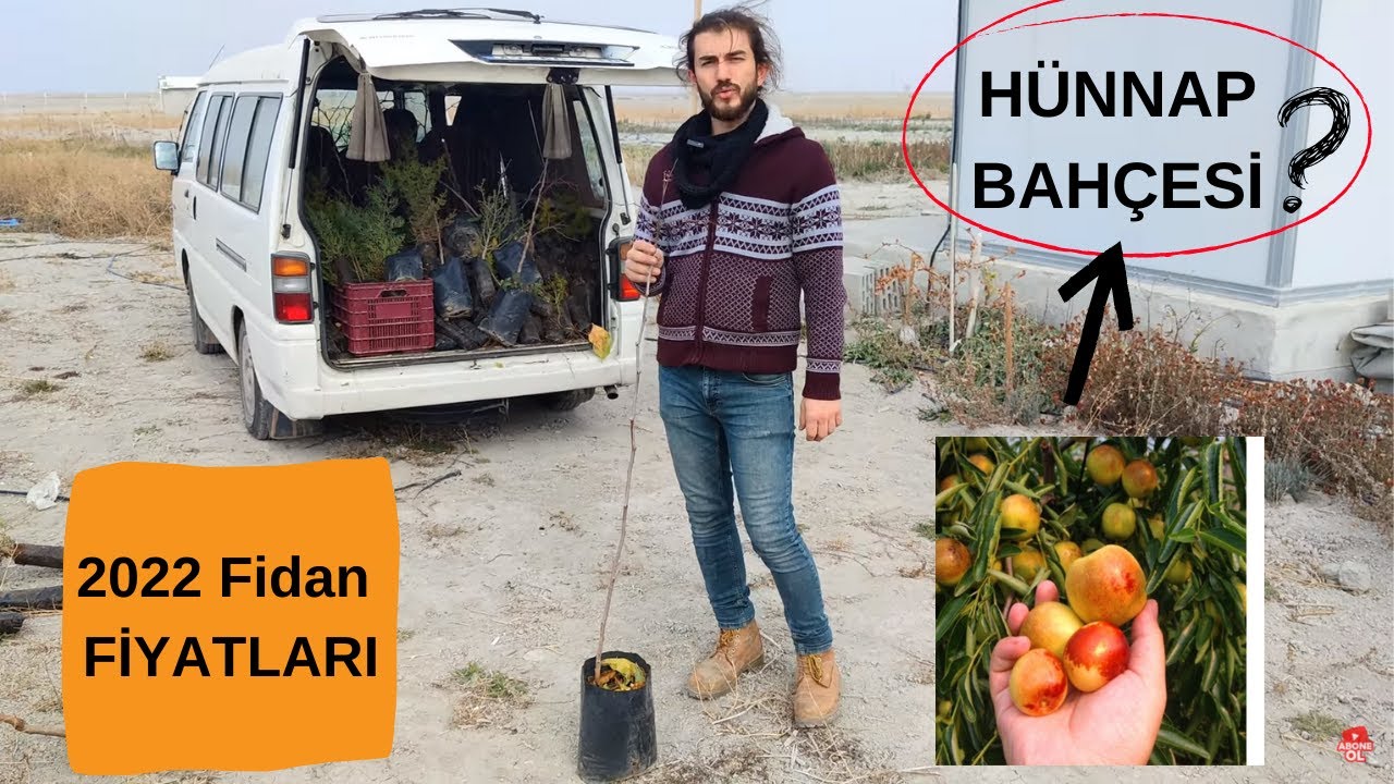 2022 Ağaç fidan fiyatları🌲 Hünnap bahçesi yapıyorum 🌲 orman fidanlığı ve normal fidanlık fiyatları