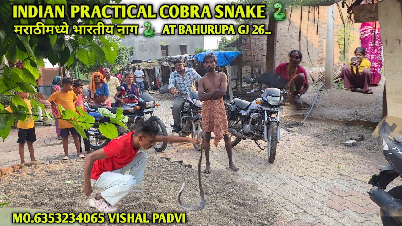 INDIAN PRACTICAL COBRA SNAKE 🐍मराठीमध्ये भारतीय नाग AT BAHURUPA GJ 26..MO.6353234065