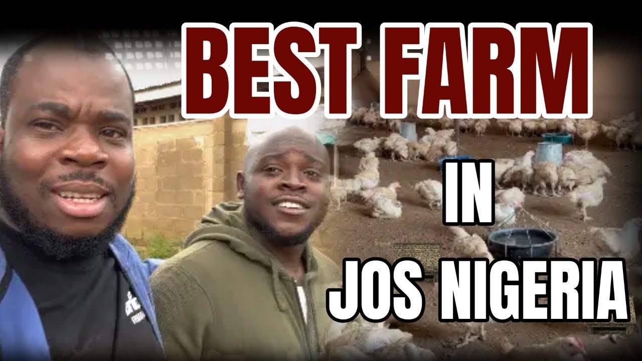 Farm Vlog:Leaving Medicine to Full scale farming in Jos,Nigeria.