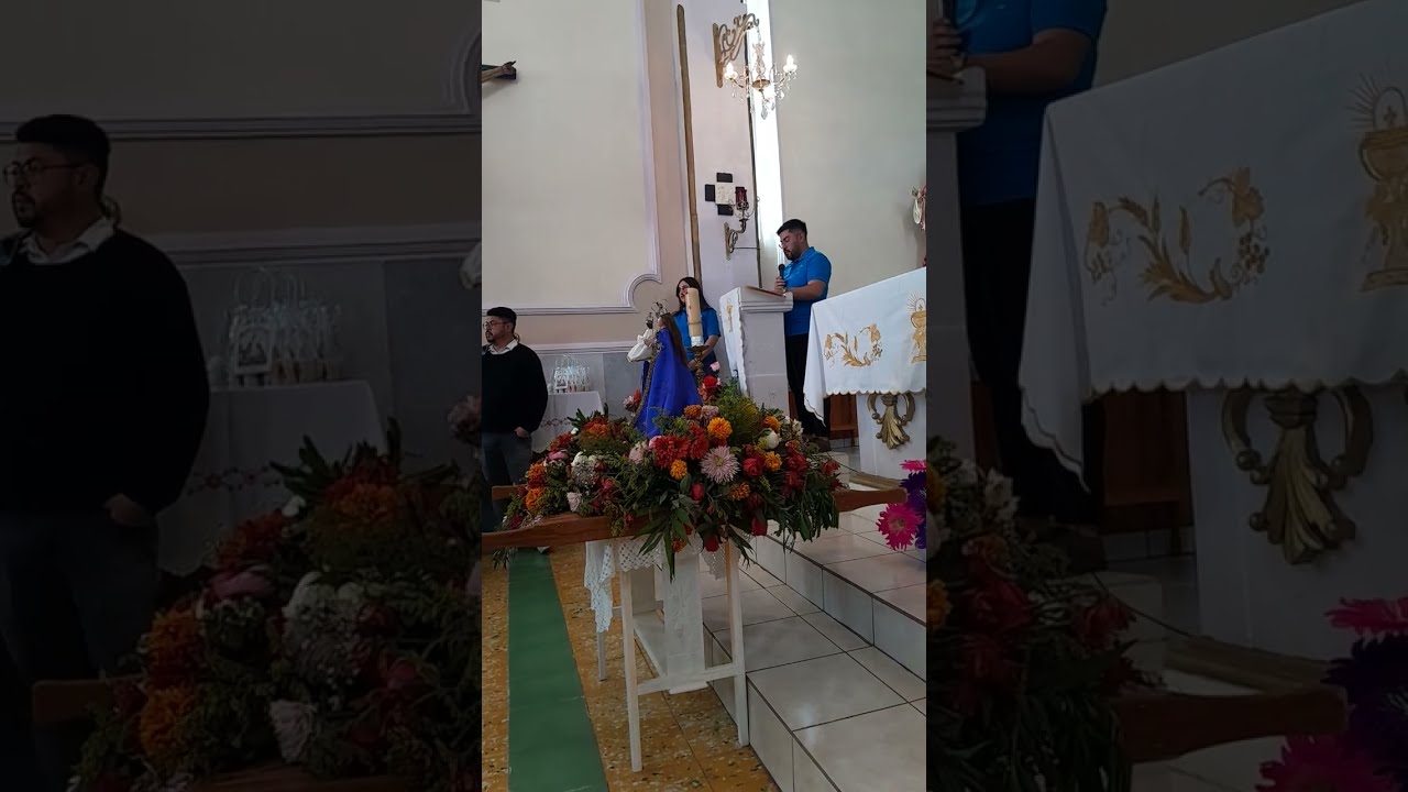 Serenata  desde  san  juan del centro  1 de febrero 2026