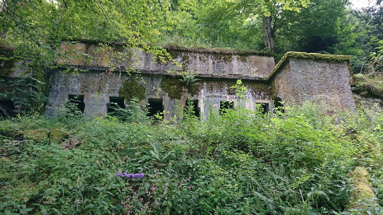 FRANKREICH- VOGESEN- HARTMANNSWILLERKOPF
