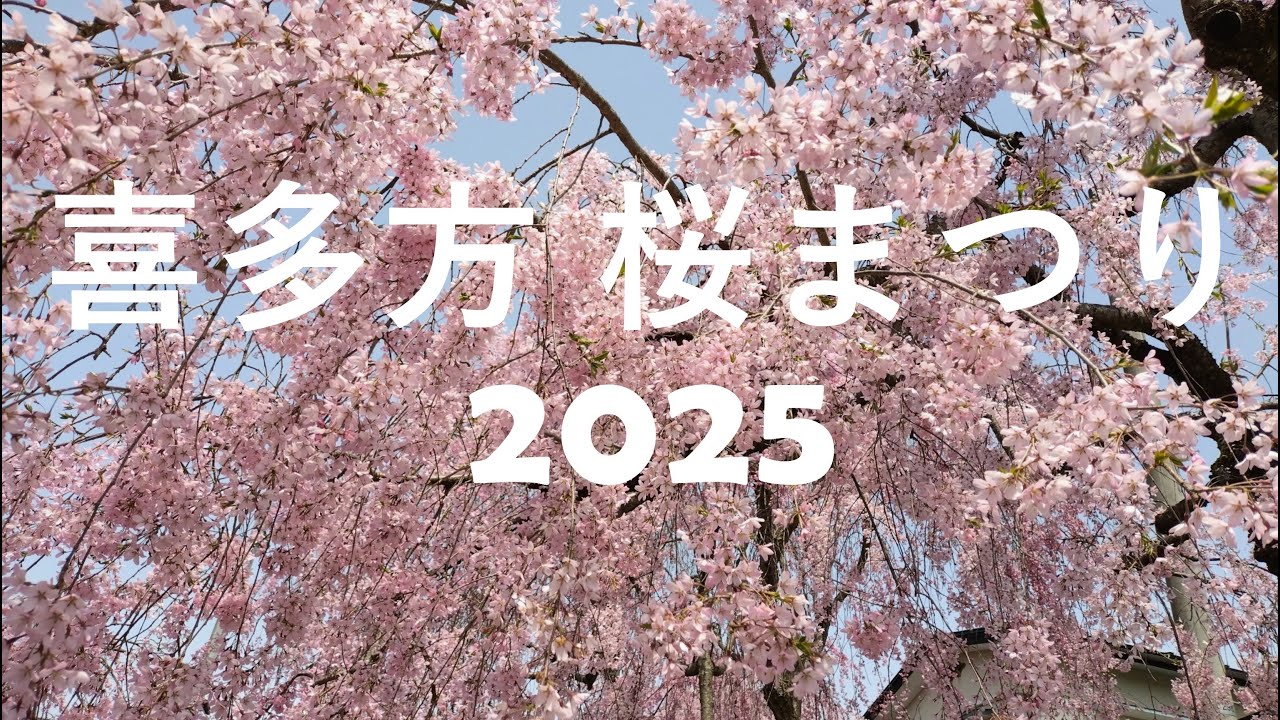 喜多方さくらまつり 【日中線しだれ桜並木】 2025