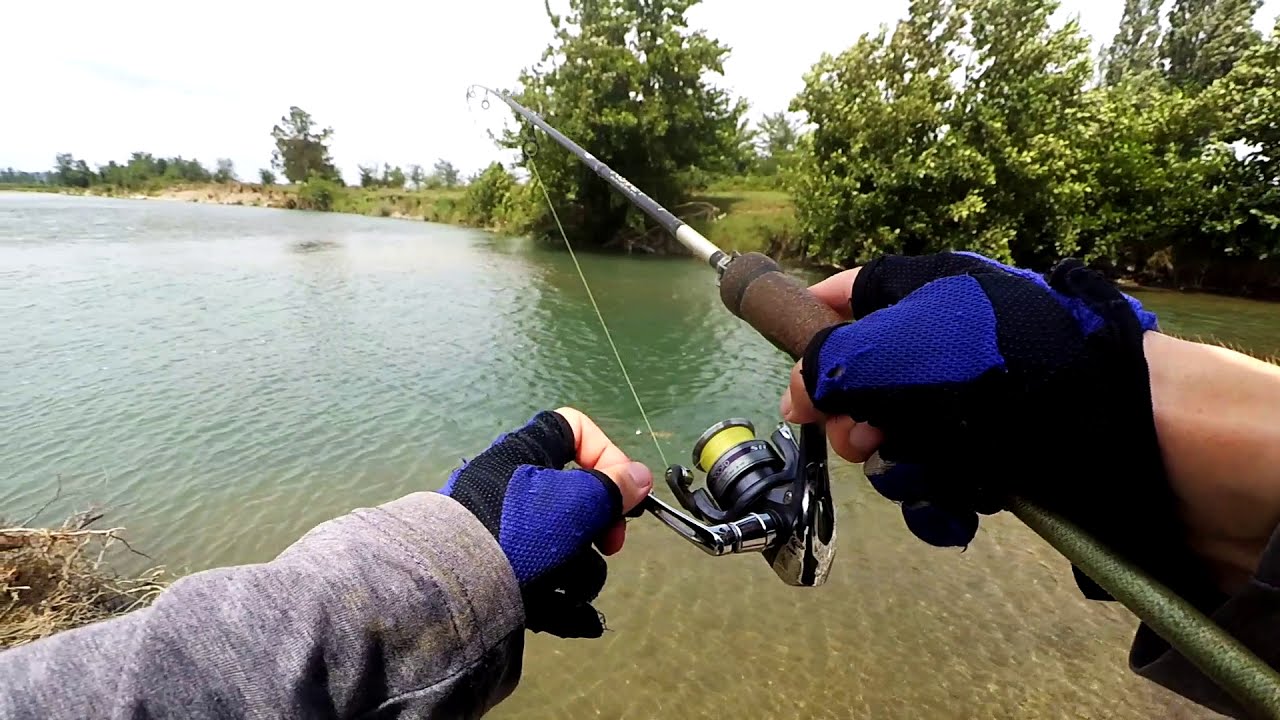 Kot FishingTV vs მონსტრი ქაშაპები (გიგანტი ბომბორა ქაშაპები წნულს წყვიტავენ )