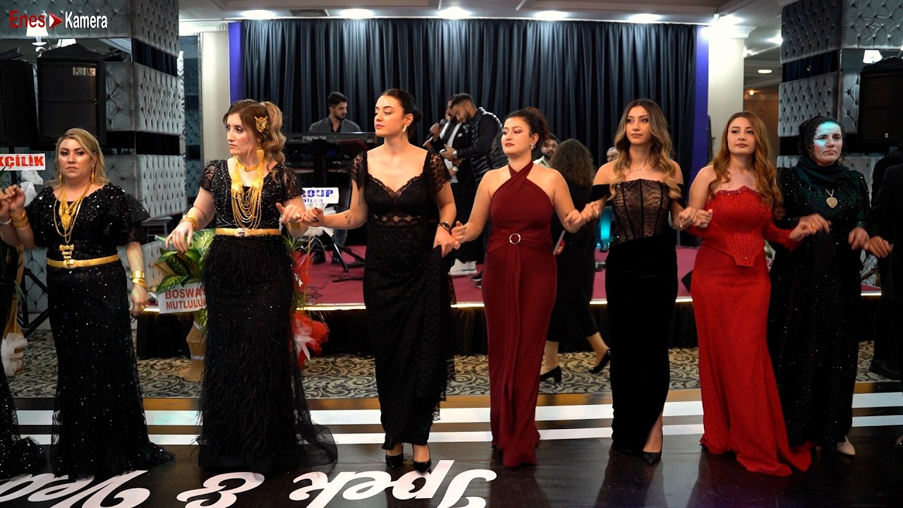 Yeni Kürtçe Halay 2026 Segavi - Navona Oteli - Yusuf Evin