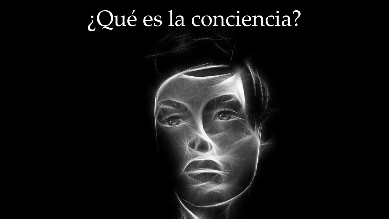 Qué es la conciencia