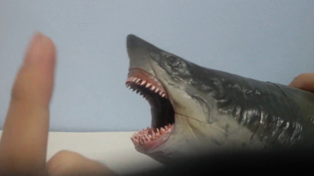 PNSO MEGALODON UNBOXING AND REVIEW!(BEST MEGALODON FIGURE EVER)