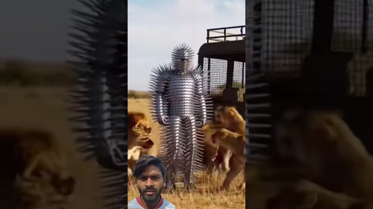 Man in Spiked Porcupine Suit Faces Lion Pride in Savanna... They Can't Get Through 