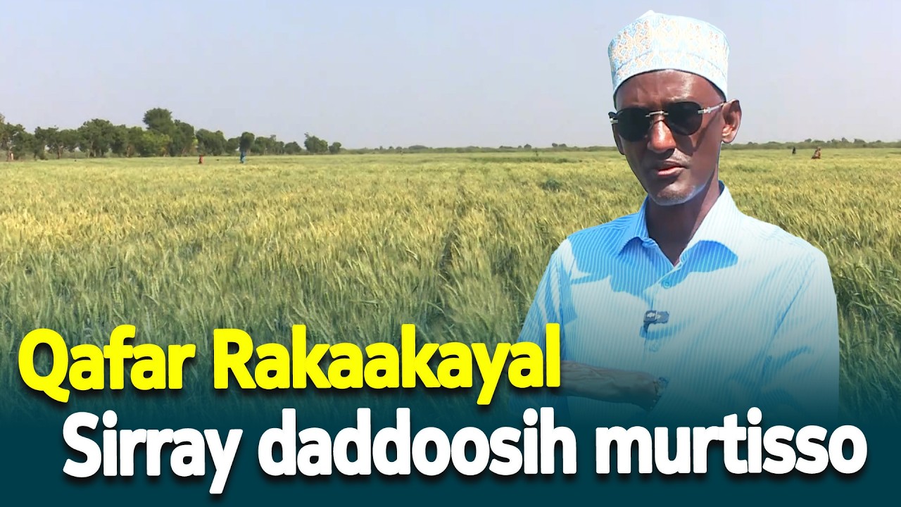 Qafar Rakaakayal  Sirray daddoosih murtisso @EthiopianNewsAgency