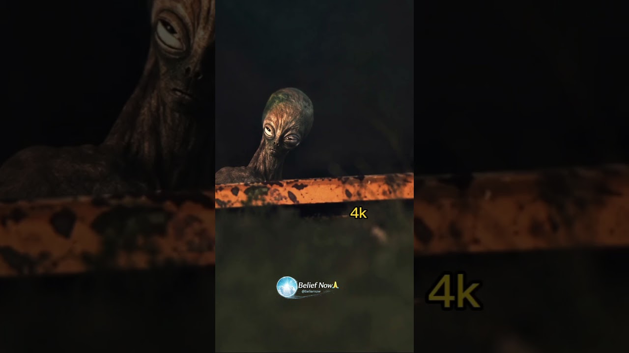 Этих предметов здесь быть не должно... 👽😳