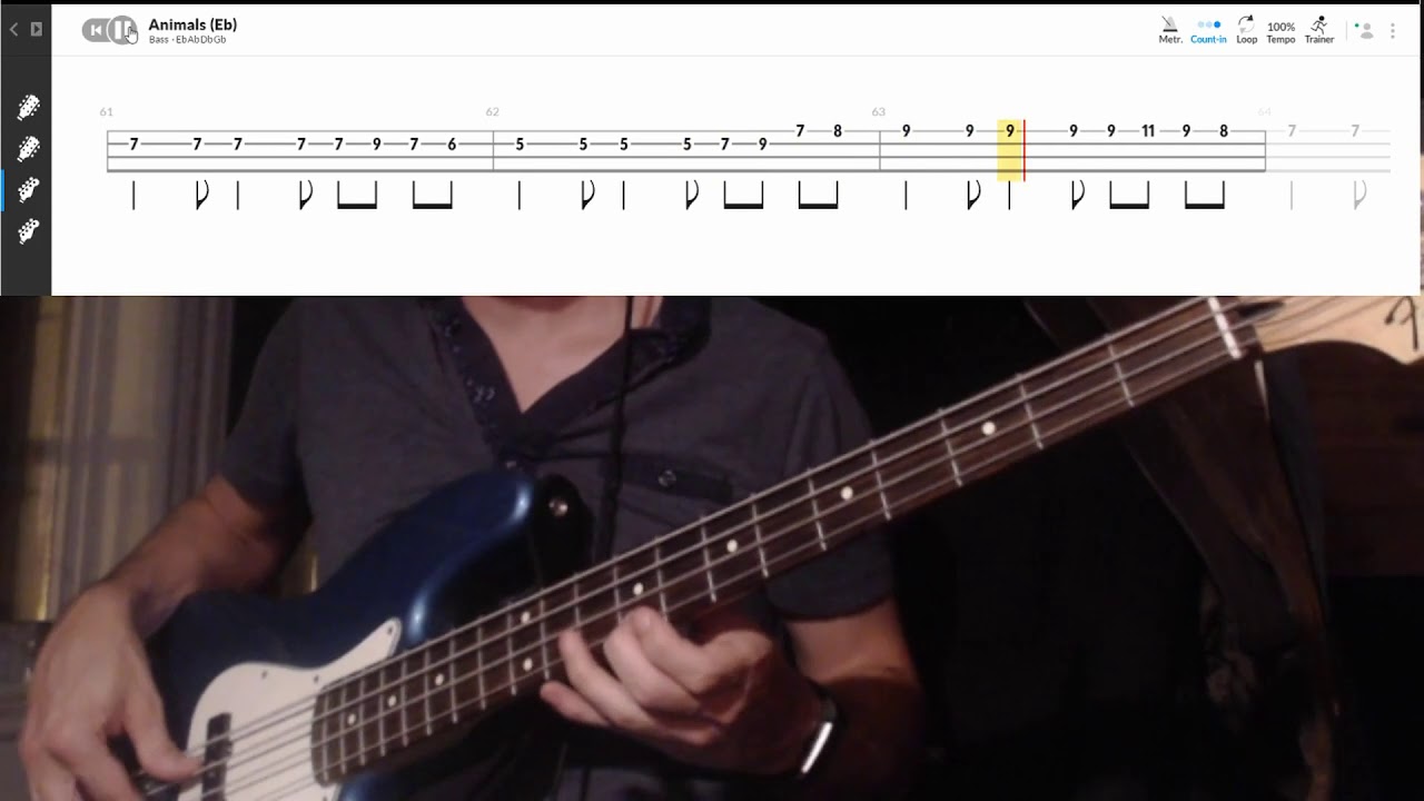 Muse - Animals (Bass cover)