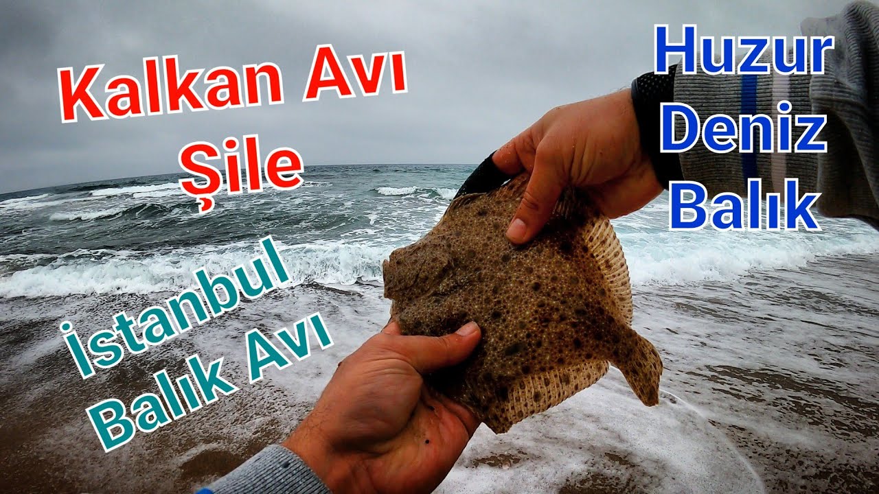 Kalkan Avı Şile İstanbul - Bu Sefer Kalabalık Spin Meralarından Ka&ccedil;ıp Huzura Ulaştım