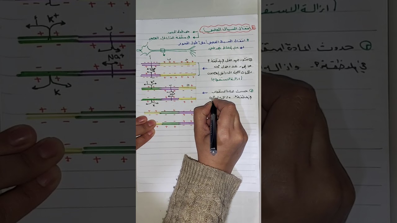 انتقال السيال العصبي على طول المحور