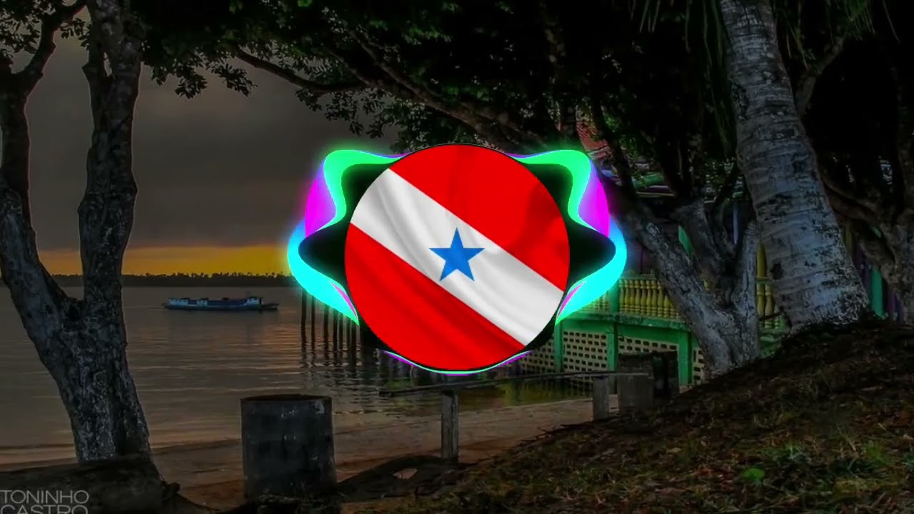 BANDA 007 - BÚFALO DO MARAJÓ (MARCANTE)