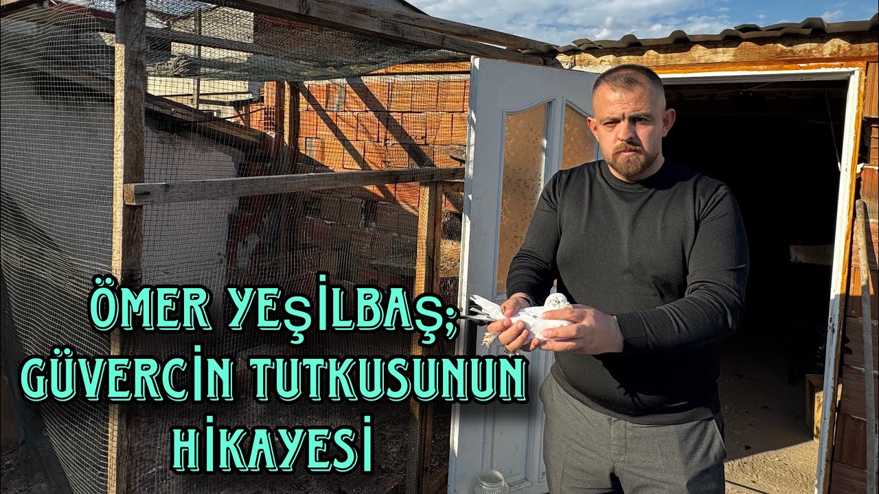 BURSA’DA VAN KUŞU BESLEMEK… ÖMER YEŞİLBAŞ VE BİTMEK BİLMEYEN BİR SEVDA !