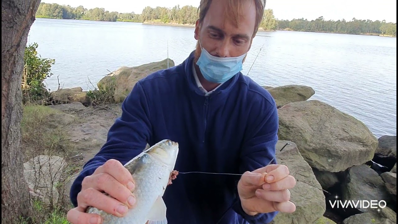 Georges River #2 I Fishing for Mullet.