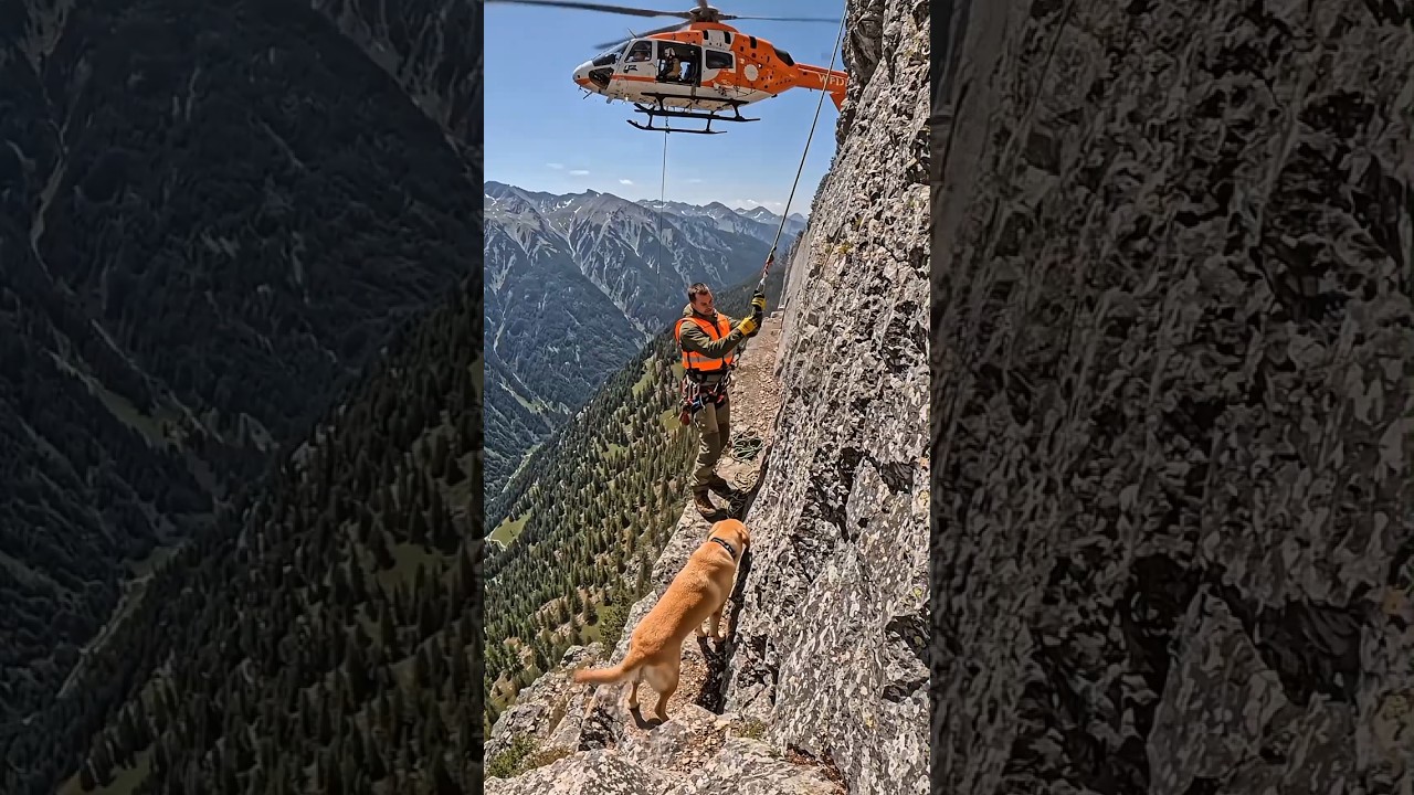 Dog Stranded on Mountain Ledge &mdash; Helicopter Rescue Reunites Him With His Owner ❤️🚁