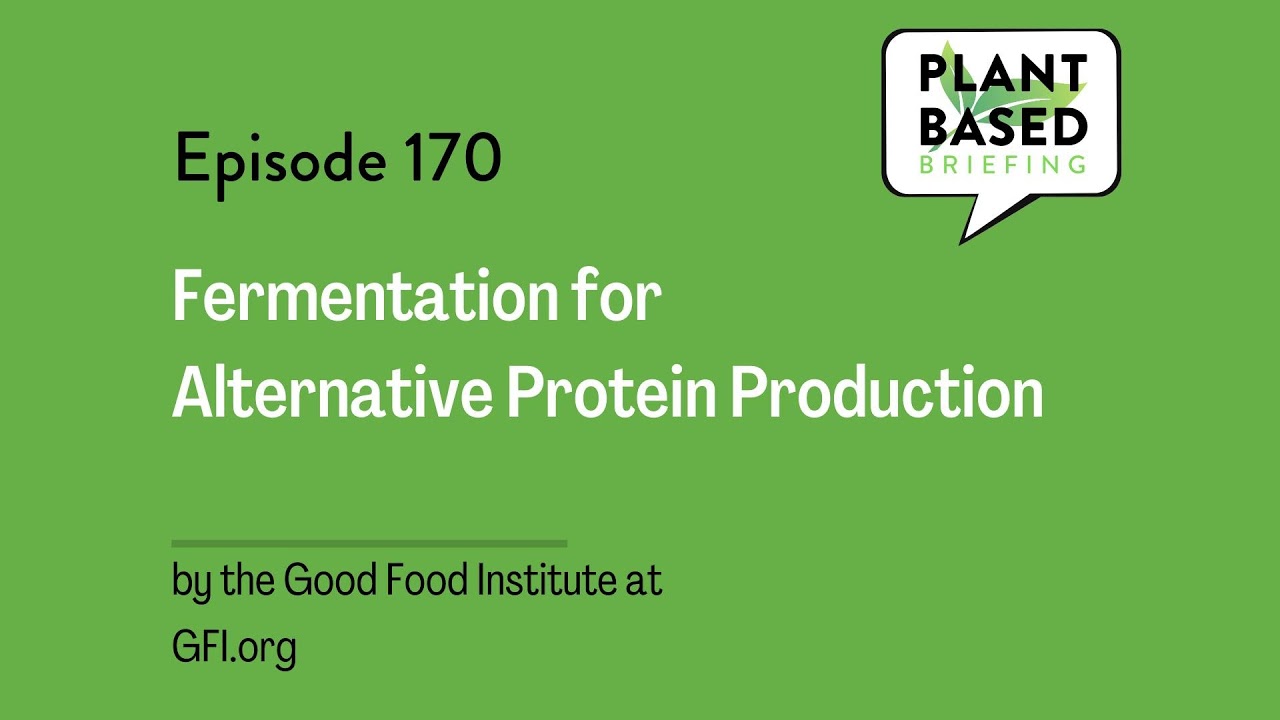 Fermentation for Alternative Protein Production