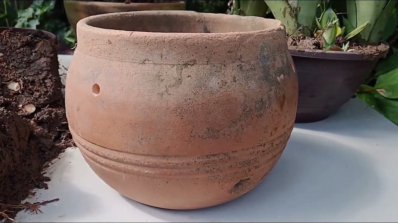 VASO DE BARRO COMBINA COM ESPADA PRATEADA SÃO JORGE SANTA BÁRBARA SUBSTRATO  REPLANTE indicação 📔📚🏡
