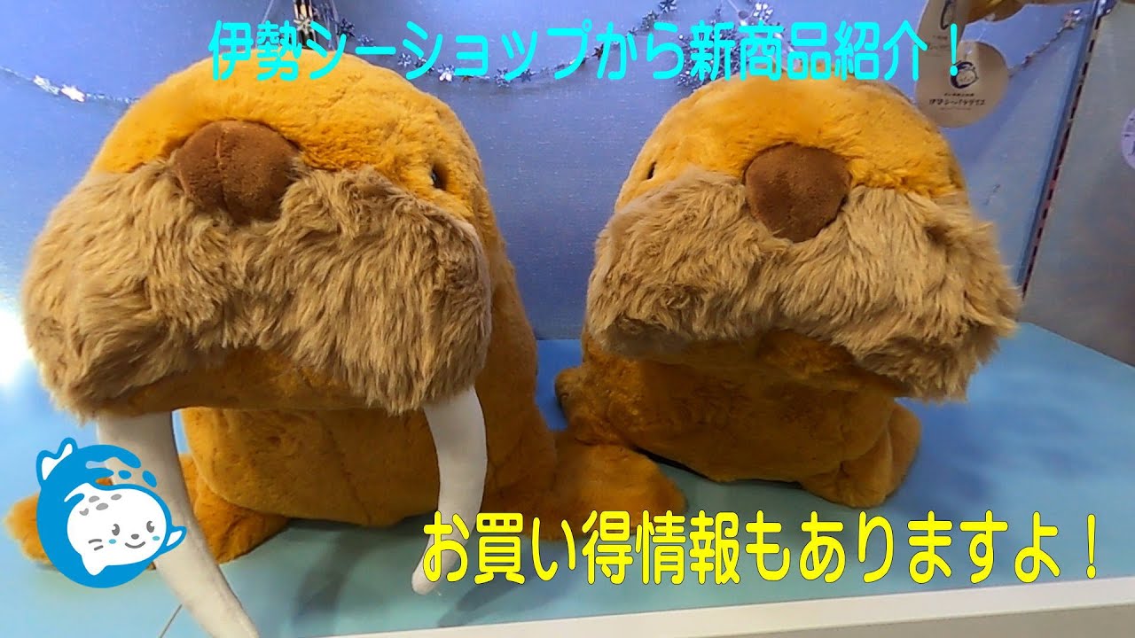 【伊勢シーショップ】恒例の新商品紹介！あのぬいぐるみがお年玉価格( ﾟДﾟ)（伊勢シーパラダイス／水族館）
