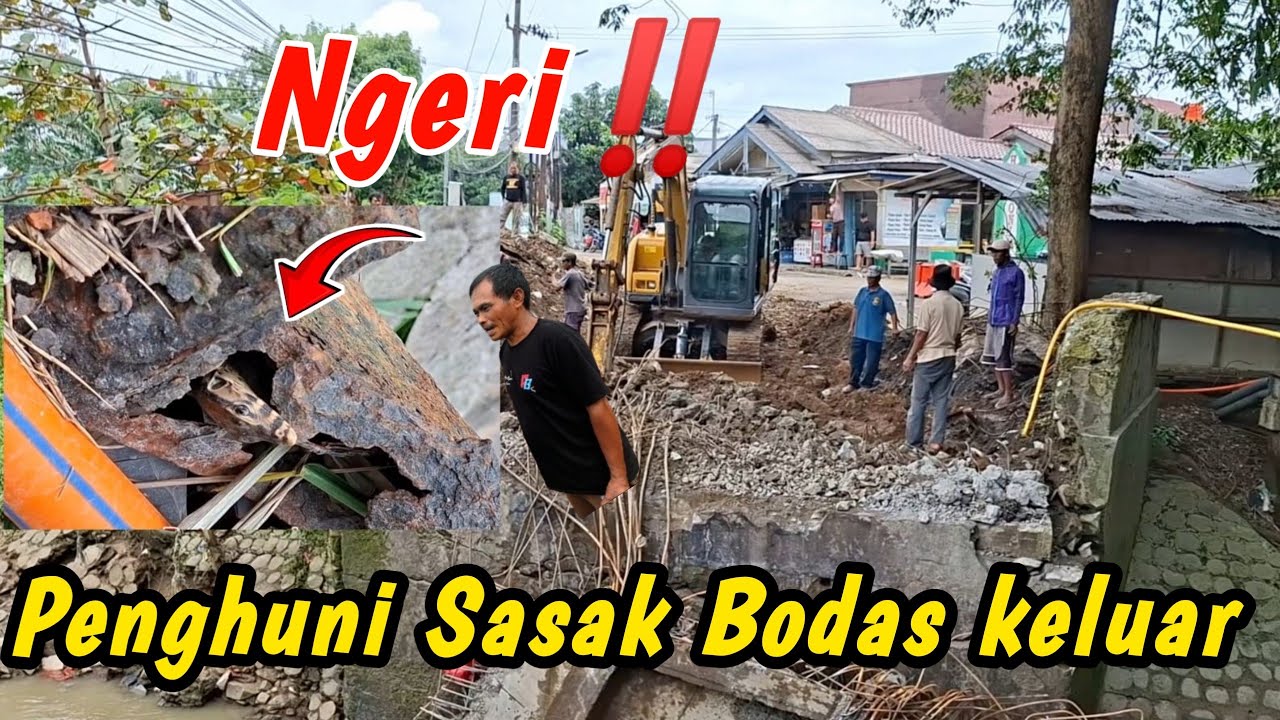Lagi keruk jalan‼️Tiba tiba Penghuni Sasak bodas Keluar Gaes 