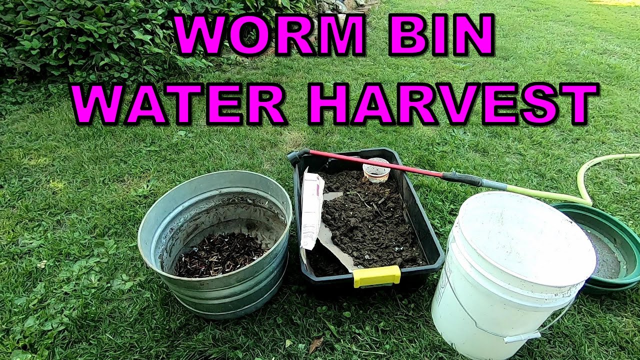 Don't Harvest Castings this way- Last Resort WORM BIN HARVEST.
