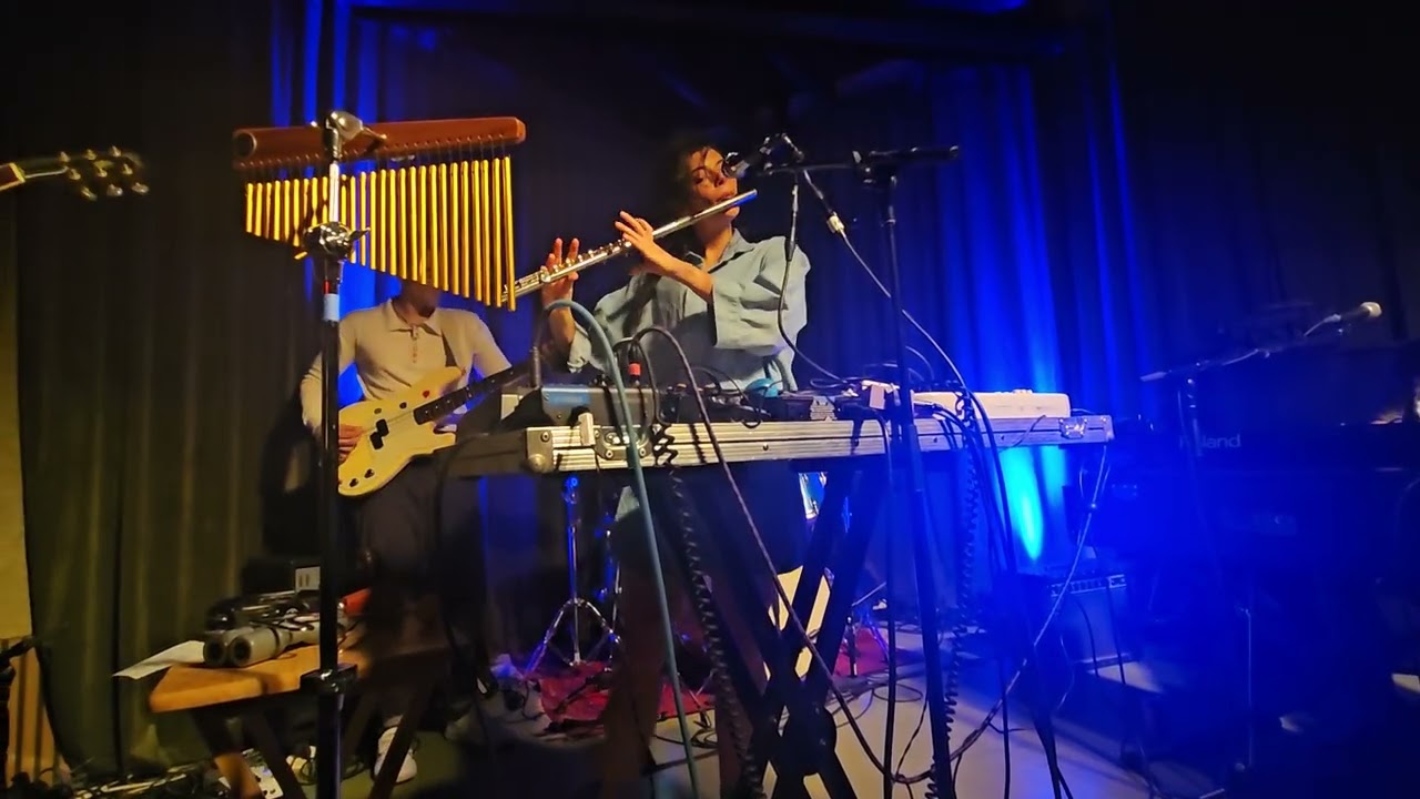Pearl & The Oysters 