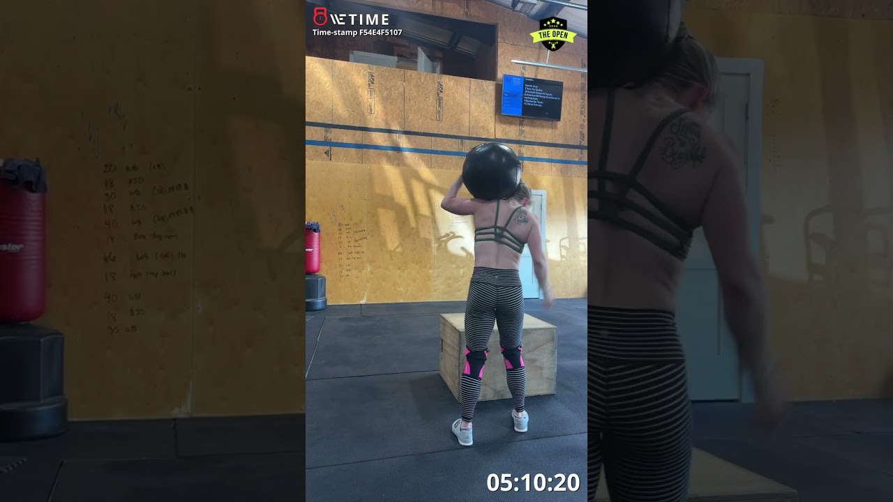 26.1